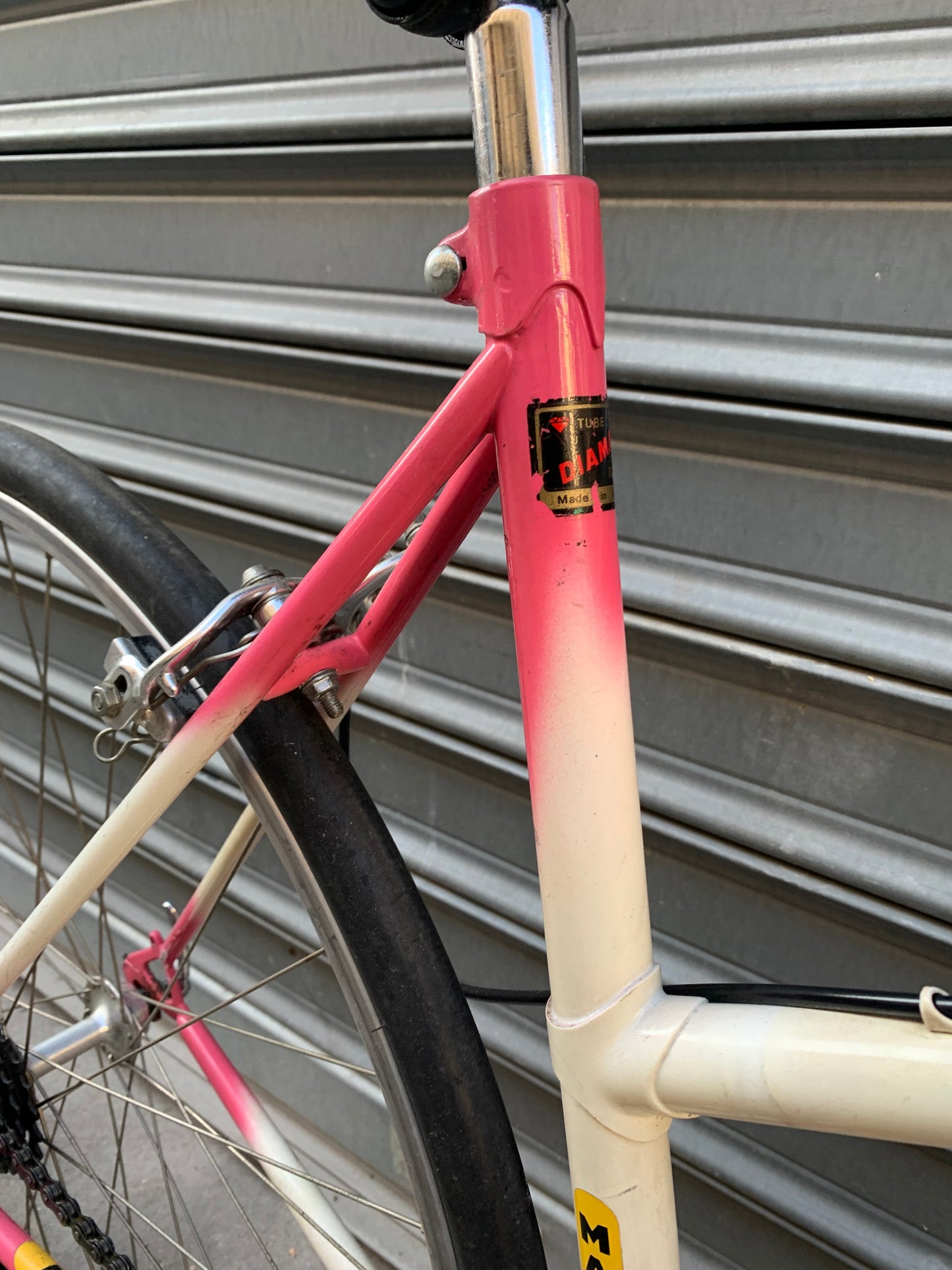 345€ LA ROUE D’OR (M)