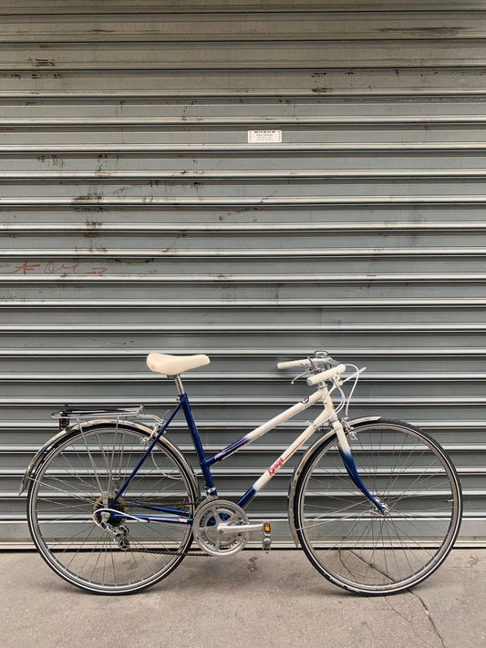 ❌ RALEIGH Topaz (S)