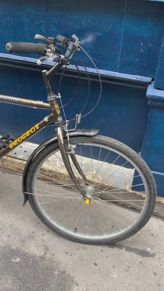 350€ PEUGEOT Glacier Point (M)